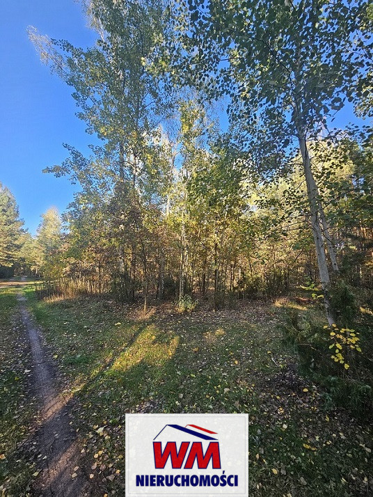 Działka Sprzedaż Chynów 9
