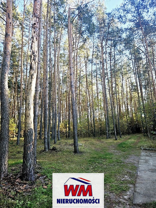 Działka Sprzedaż Chynów 14