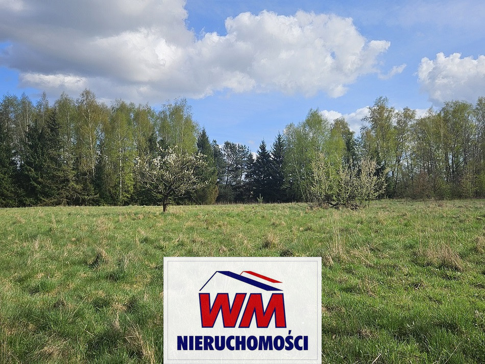 Działka Sprzedaż Pniewy 9