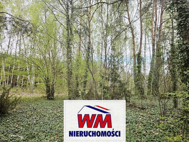 Działka Sprzedaż Grabów Nad Pilicą 9