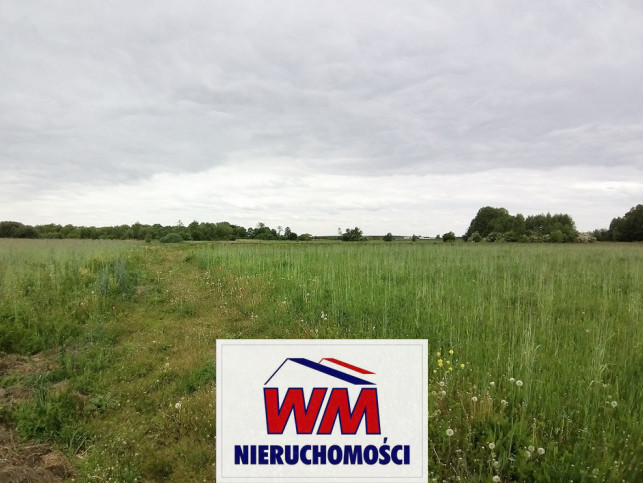 Działka Sprzedaż Jasieniec 1