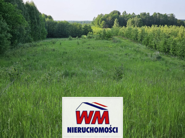 Działka Sprzedaż Mogielnica 13