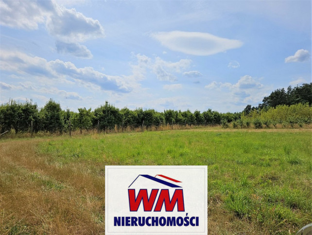 Działka Sprzedaż Grójec 5