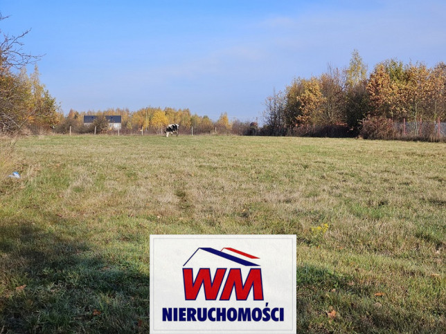 Działka Sprzedaż Pniewy 1
