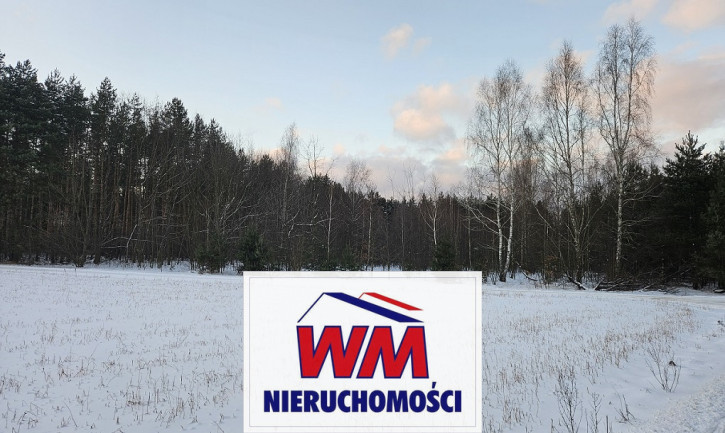 Działka Sprzedaż Pniewy 8