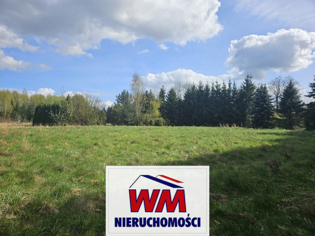 Działka Sprzedaż Pniewy 4