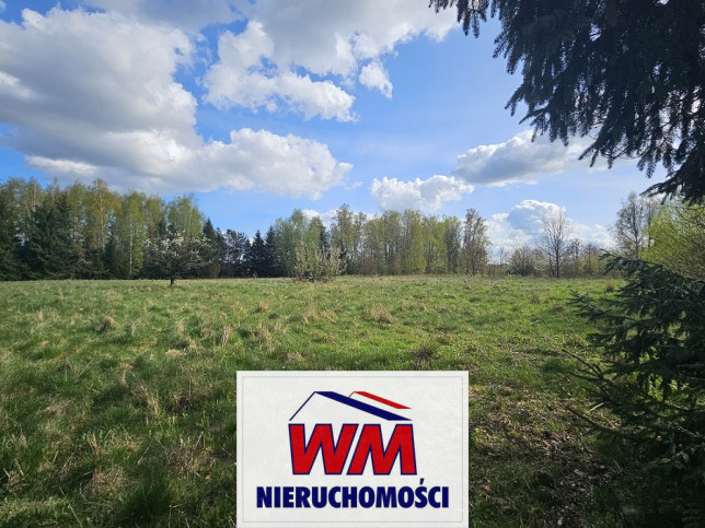 Działka Sprzedaż Pniewy 8