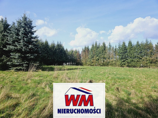 Działka Sprzedaż Pniewy 16