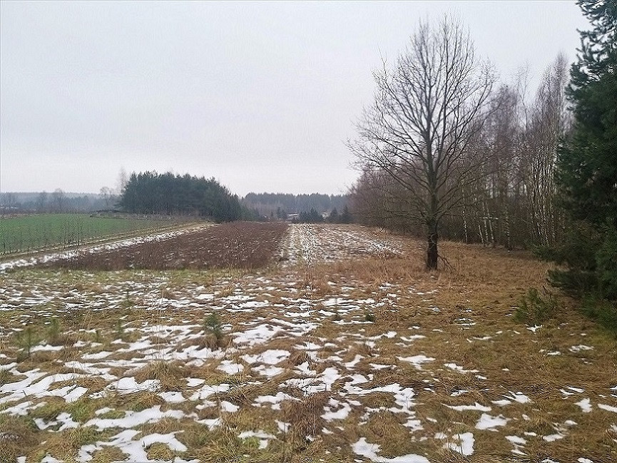 Działka Sprzedaż Mogielnica 17