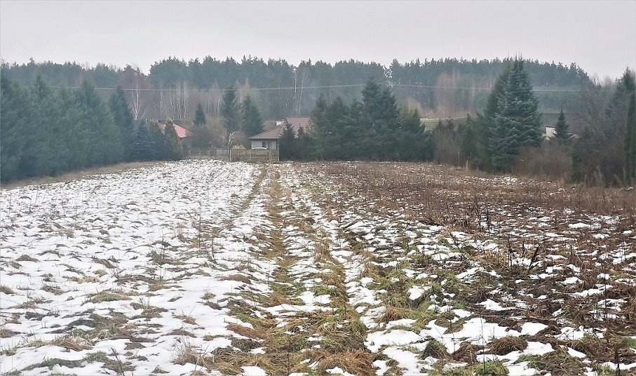 Działka Sprzedaż Mogielnica 15