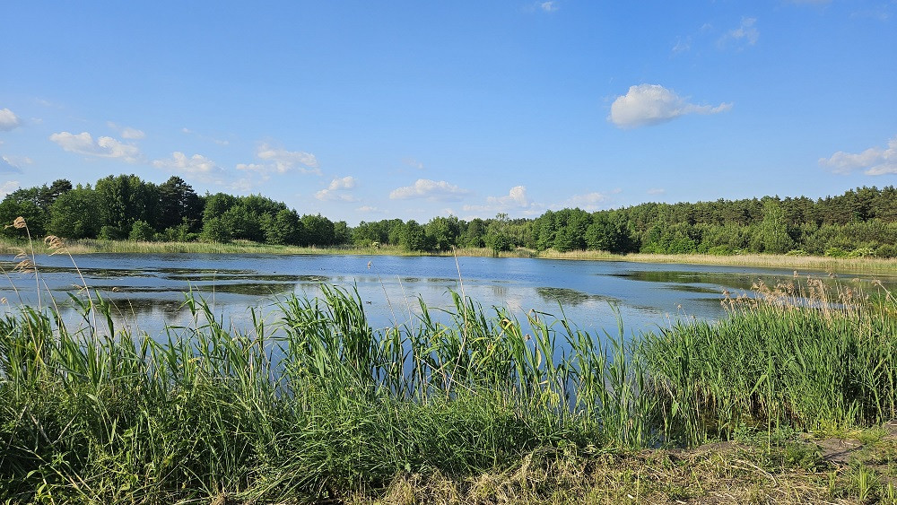 Działka Sprzedaż Pniewy 9