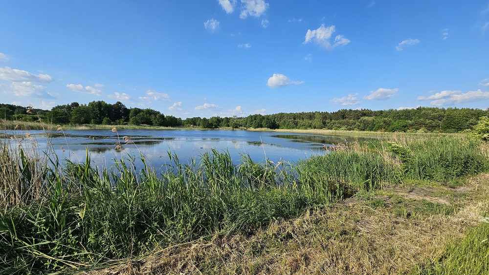 Działka Sprzedaż Pniewy 10