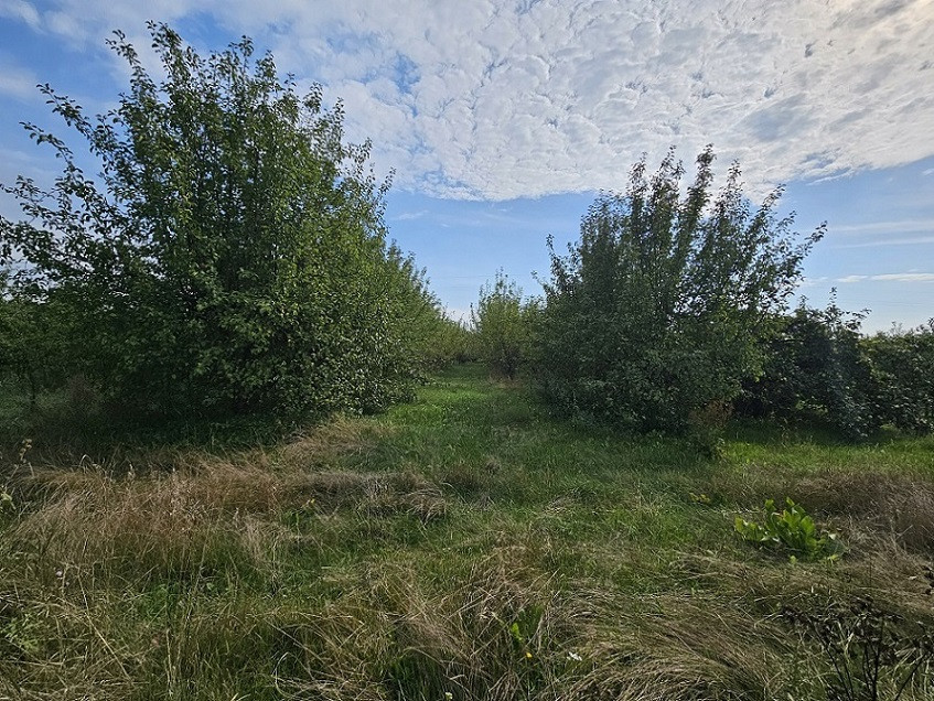 Działka Sprzedaż Warka 8