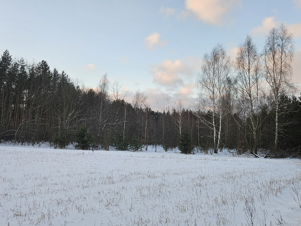 Działka Sprzedaż Pniewy 7