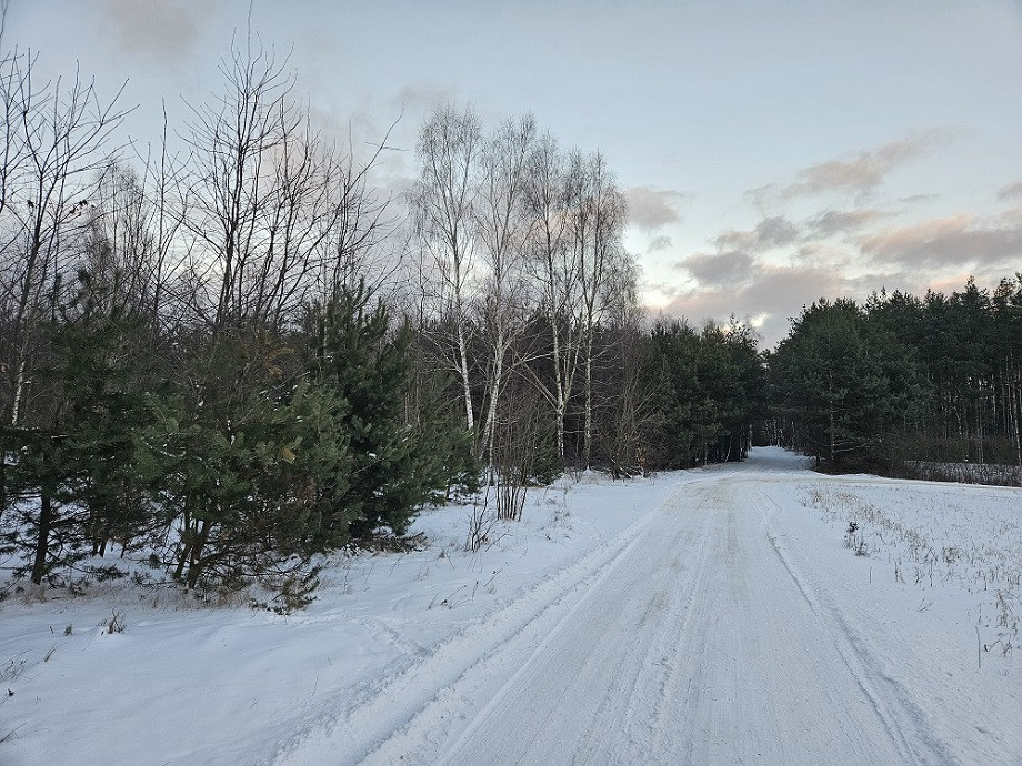 Działka Sprzedaż Pniewy 12