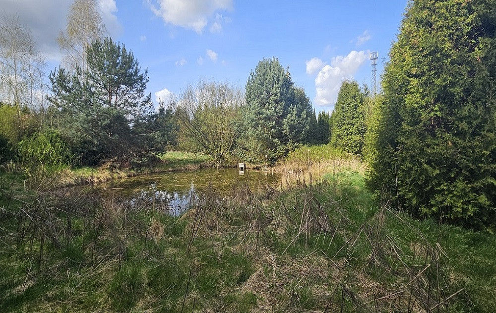 Działka Sprzedaż Pniewy 7