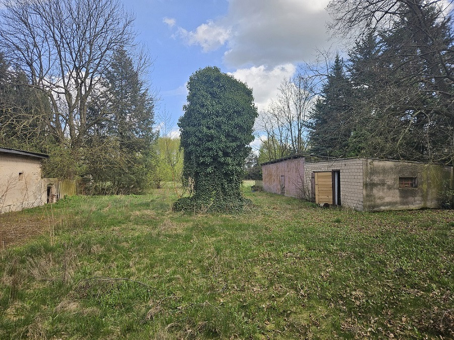 Działka Sprzedaż Pniewy 12