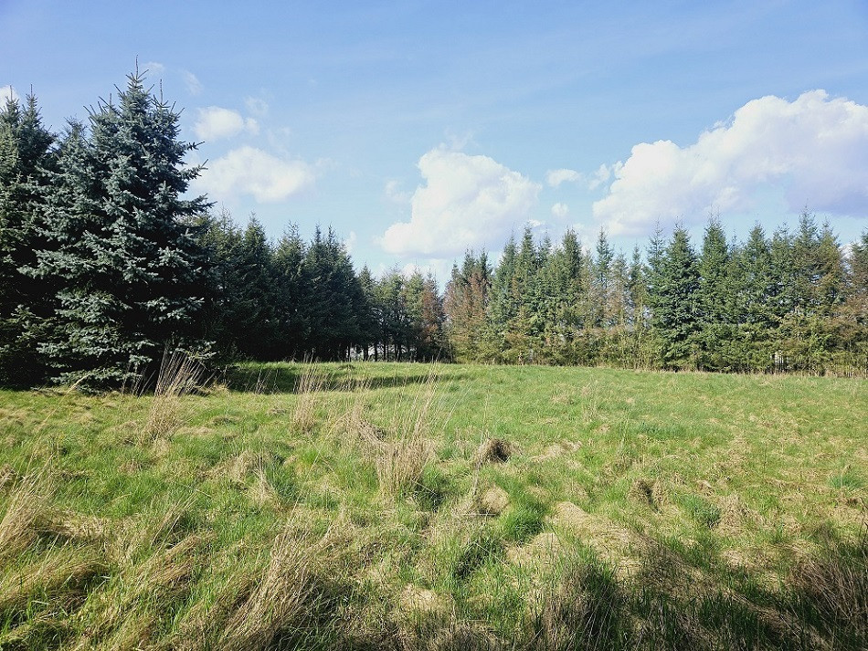 Działka Sprzedaż Pniewy 16