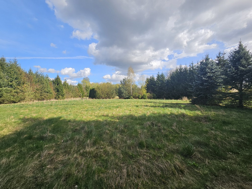 Działka Sprzedaż Pniewy 17