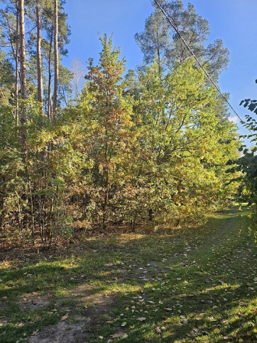 Działka Sprzedaż Chynów 6