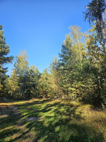 Działka Sprzedaż Chynów 10