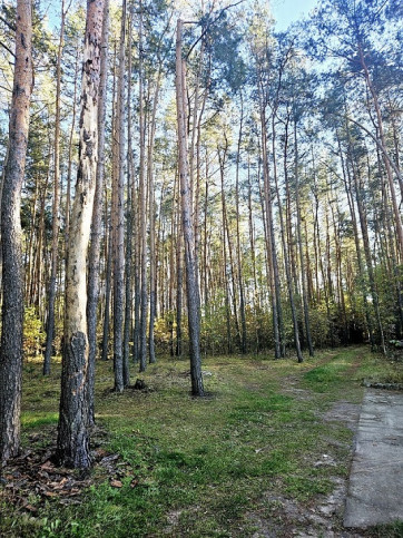 Działka Sprzedaż Chynów 14