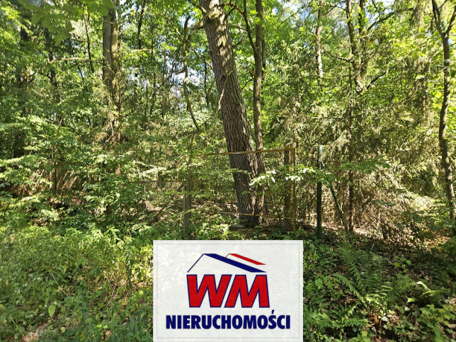 Działka Sprzedaż Pniewy 4