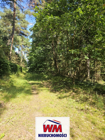 Działka Sprzedaż Pniewy 5