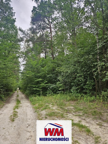 Działka Sprzedaż Pniewy 1