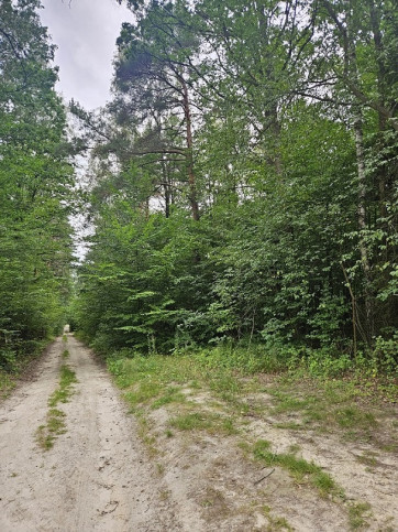 Działka Sprzedaż Pniewy 1
