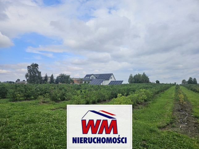 Działka Sprzedaż Rzeczyca 2