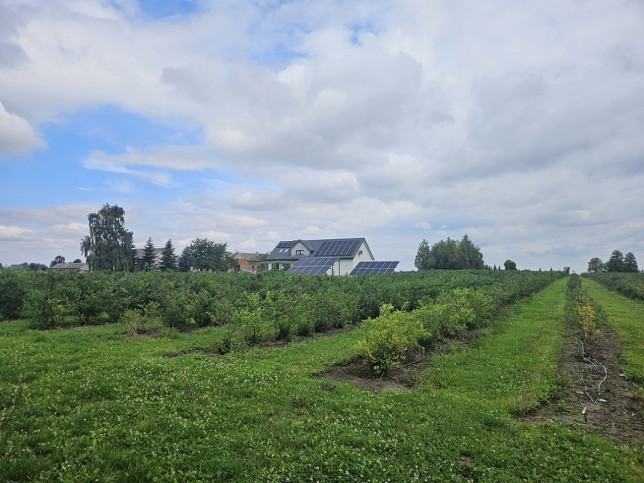 Działka Sprzedaż Rzeczyca 2