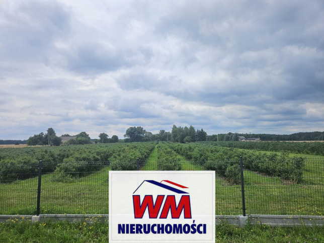 Działka Sprzedaż Rzeczyca 5