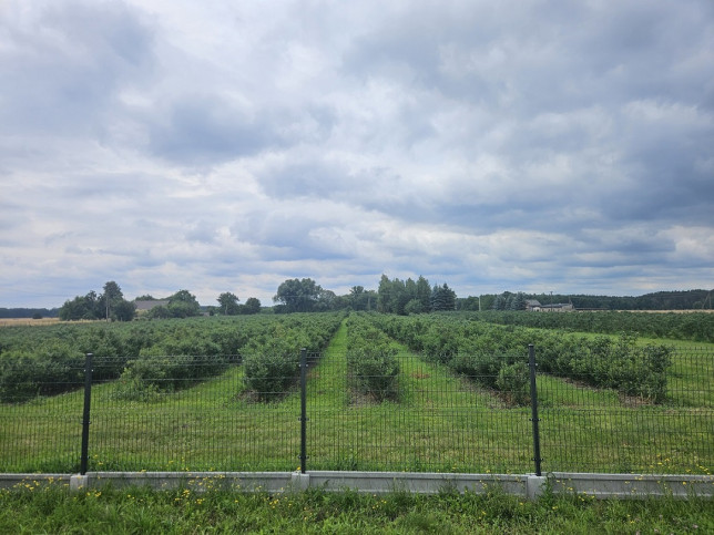 Działka Sprzedaż Rzeczyca 5