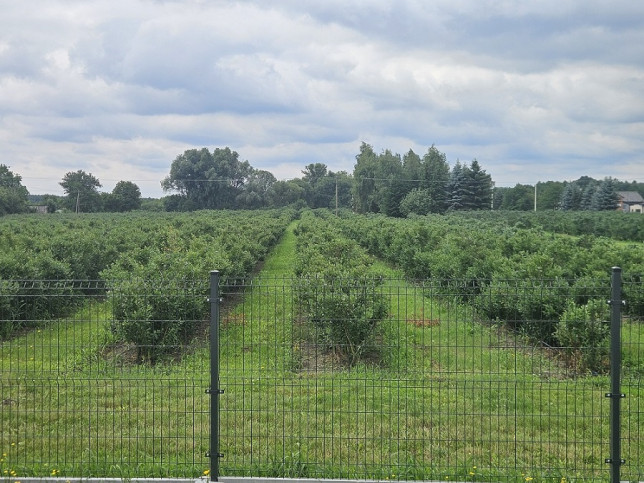 Działka Sprzedaż Rzeczyca 6
