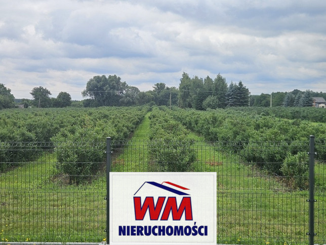 Działka Sprzedaż Rzeczyca 6