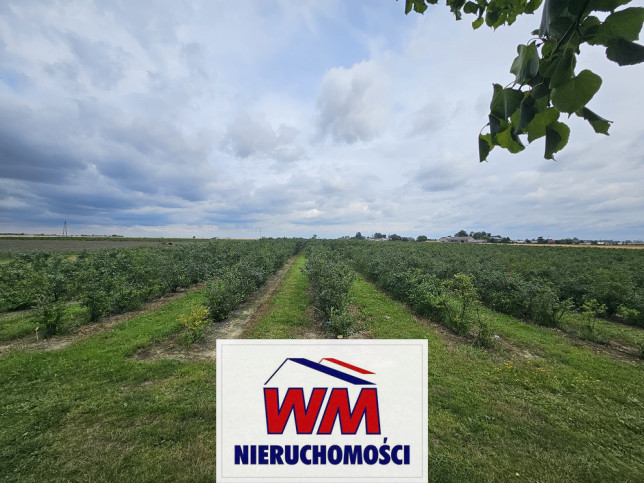 Działka Sprzedaż Rzeczyca 8