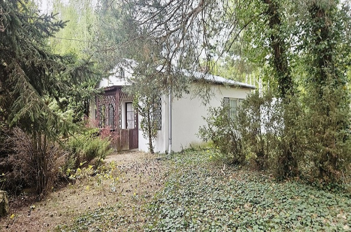 Działka Sprzedaż Grabów Nad Pilicą 2