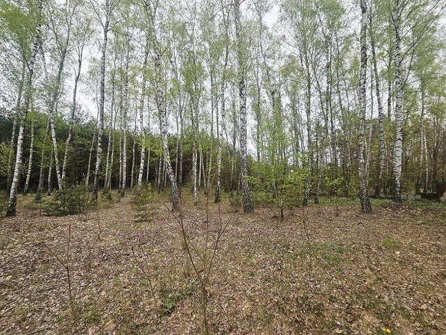 Działka Sprzedaż Grabów Nad Pilicą 6