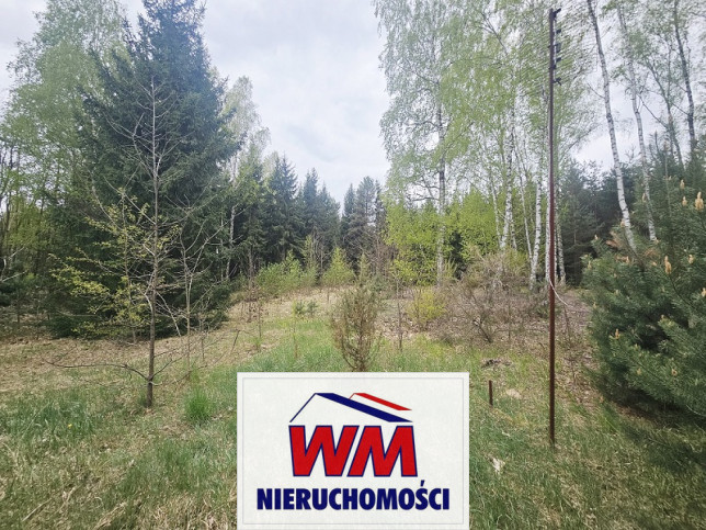 Działka Sprzedaż Grabów Nad Pilicą 7