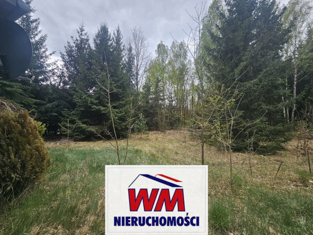 Działka Sprzedaż Grabów Nad Pilicą 8