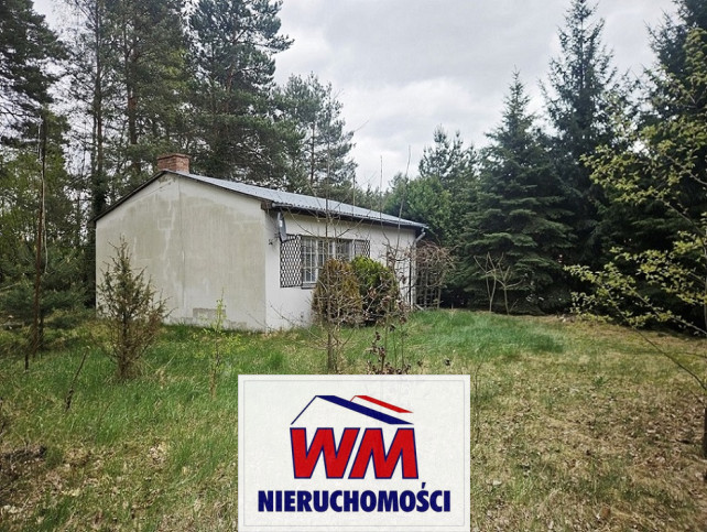 Działka Sprzedaż Grabów Nad Pilicą 4