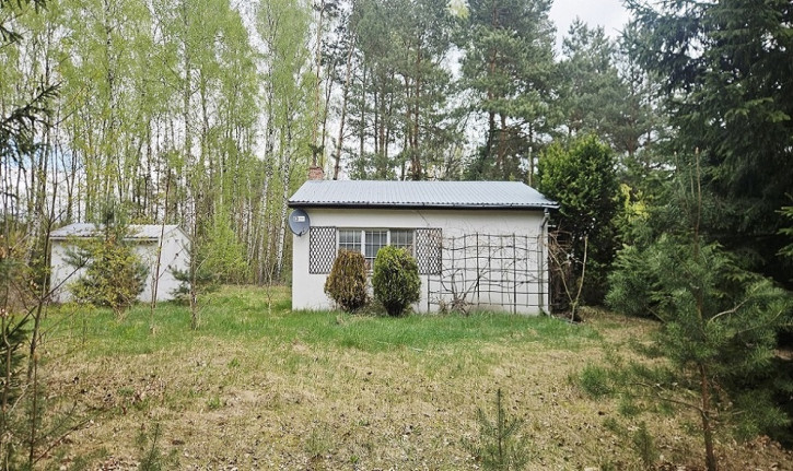 Działka Sprzedaż Grabów Nad Pilicą 12