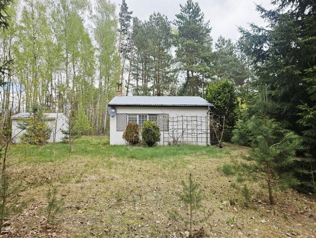 Działka Sprzedaż Grabów Nad Pilicą 5