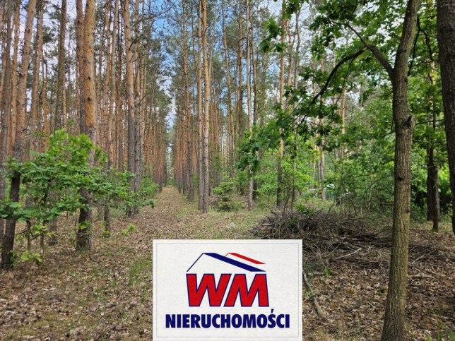 Dom Sprzedaż Chynów 17