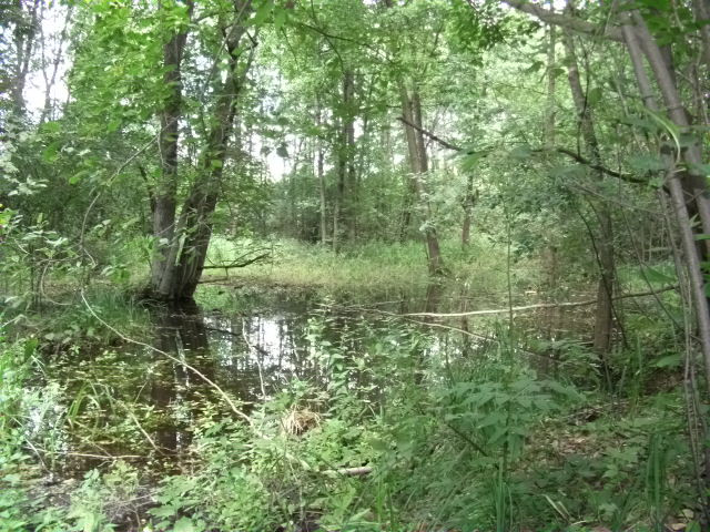 Działka Sprzedaż Pniewy 6