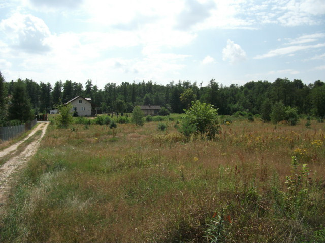 Działka Sprzedaż Pniewy 8