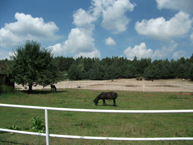 Działka Sprzedaż Pniewy 10