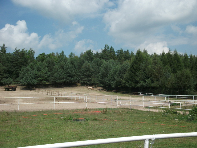 Działka Sprzedaż Pniewy 11