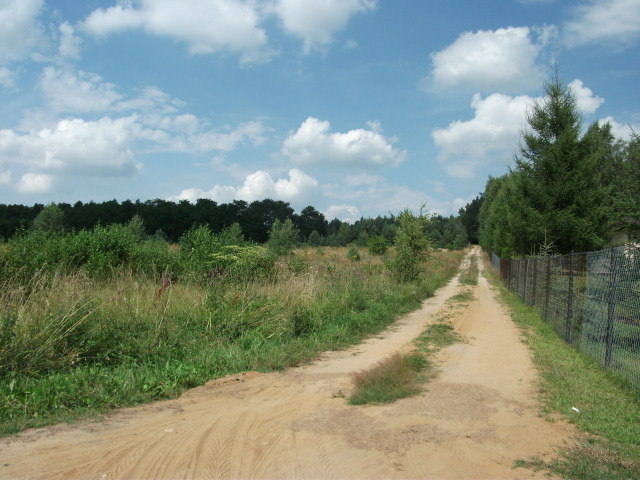 Działka Sprzedaż Pniewy 9